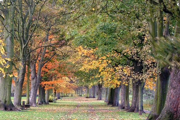 Autumn