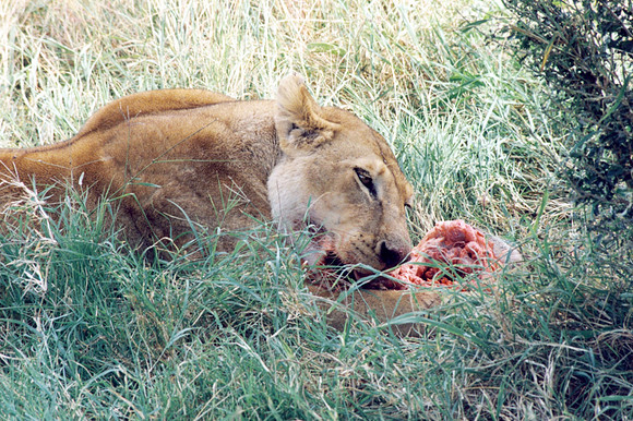Lunch time!!