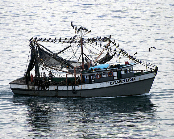 Still working (Tuna boat) - Manta, Ecuador