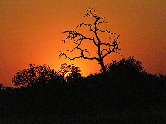 Nightfall over the Chobe River - Chobe, Botswana