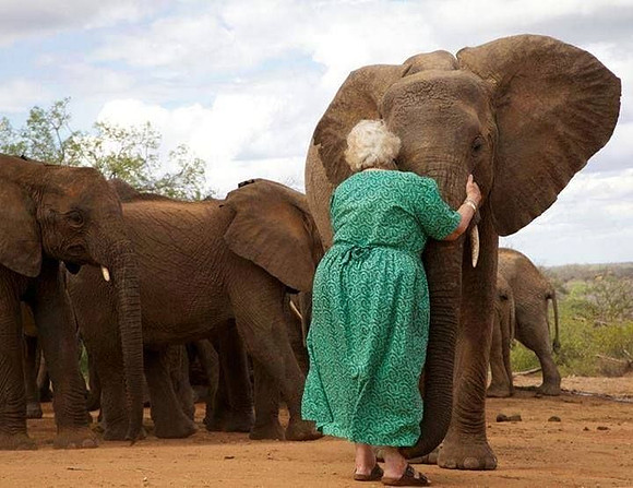Daphne Sheldrick