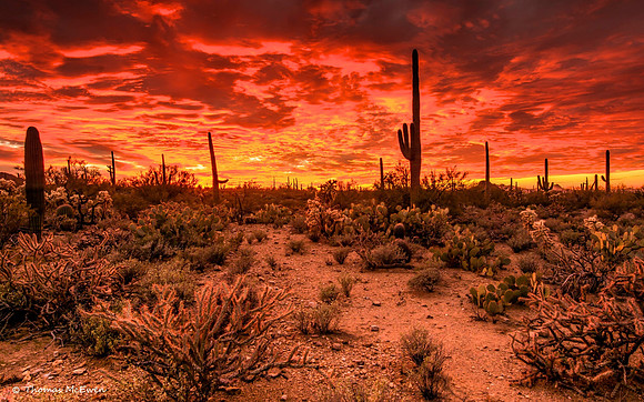 Sunset in the high desert