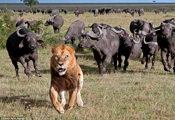 Wrong place at the wrong time