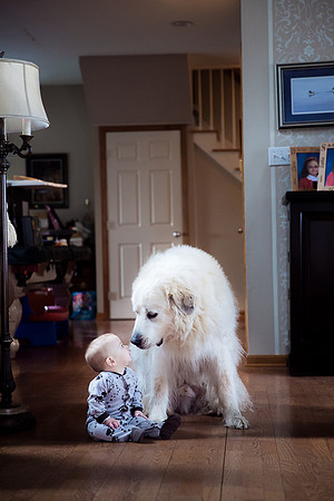 Pyrs really do love their charges