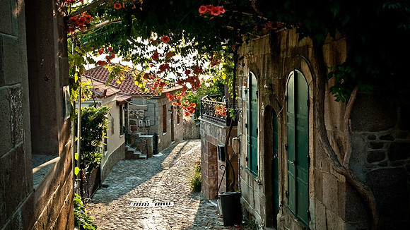 Winding Lane