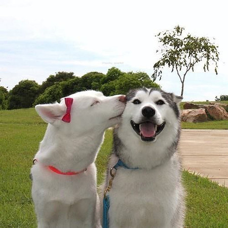 Nice knowing someone loves you