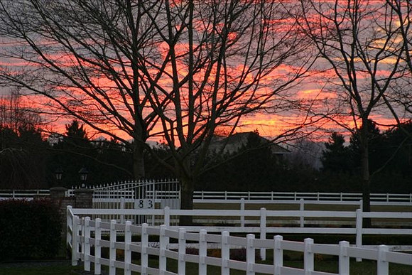 Langley is the horse capital of Canada - a ranch in the evening