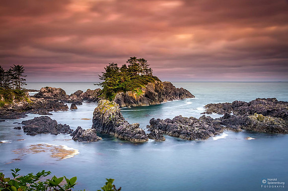 Wild Pacific
