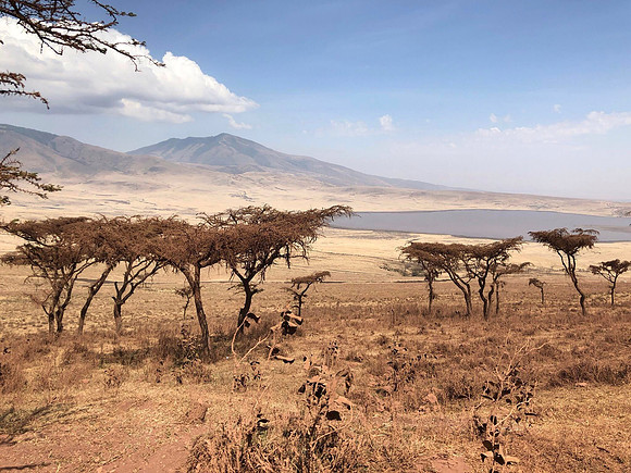 Ngorongoro Crater, Tanzania