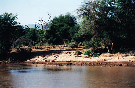 The river bank