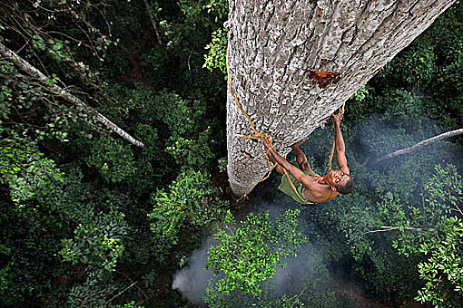 Pic: Copyright Timothy Allen. http://www.humanplanet.com