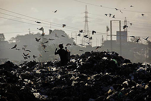 Pic: Copyright Timothy Allen. http://www.humanplanet.com