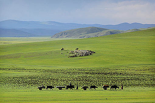 Pic: Copyright Timothy Allen. http://www.humanplanet.com