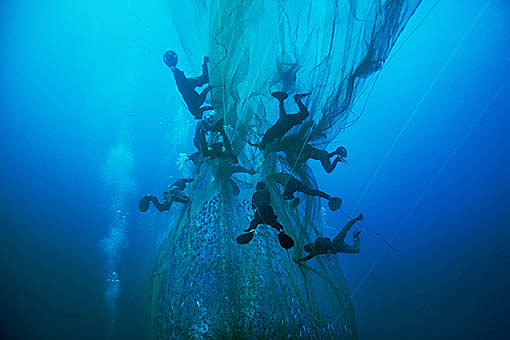 Pic: Copyright Timothy Allen. http://www.humanplanet.com