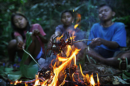 Pic: Copyright Timothy Allen. http://www.humanplanet.com