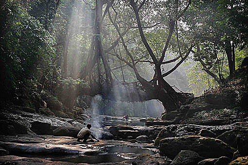 Pic: Copyright Timothy Allen. http://www.humanplanet.com