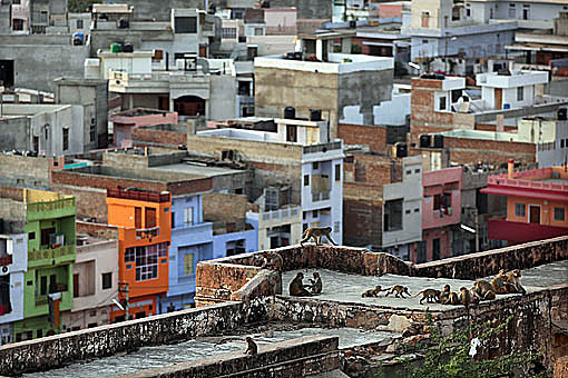 Pic: Copyright Timothy Allen. http://www.humanplanet.com