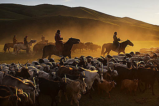 Pic: Copyright Timothy Allen. http://www.humanplanet.com