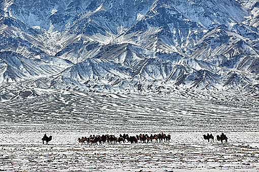 Pic: Copyright Timothy Allen. http://www.humanplanet.com