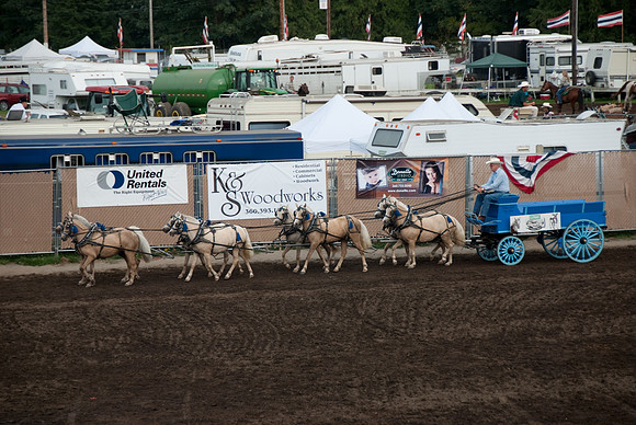 Crazy 8's - light horse hitches.