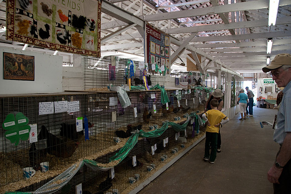 Poultry division