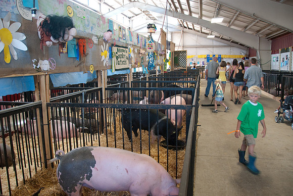Swine barn