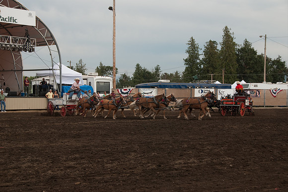 but end up rushing about like a stampede