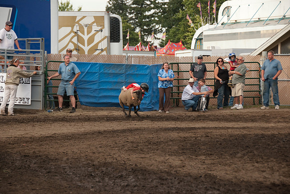 The idea is to ride the sheep into the truck