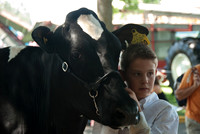 The young people raise these cows mostly for show.