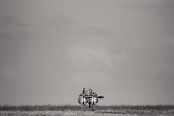 Prints for Maasai Mara