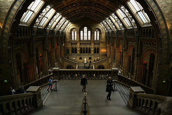 Museum of Anthropology, London , England