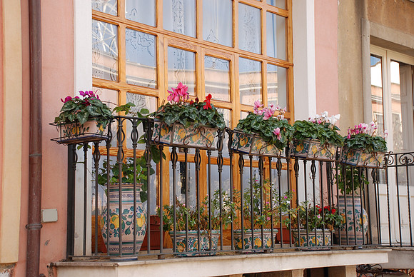 Balcony flowers - Taormina, Sicily