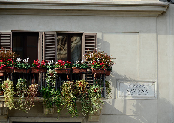Plaza Narvona window box