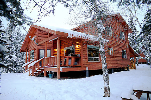 Cabin in the woods
