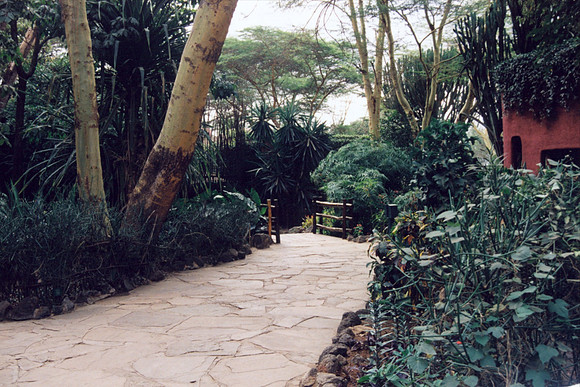 Walkway from accommodation area to lodge