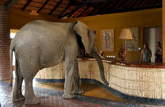 Checking in - party of 10 - name is Wonkey Tusk