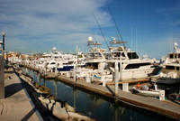 Cabo St Lucas