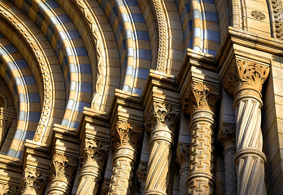 Columns in The Vatican - Rome